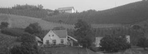 Sadjarstvo in vinogradništvo Kren Ivan in Brigita